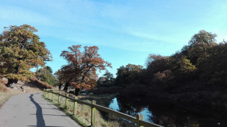 Bradgate Park