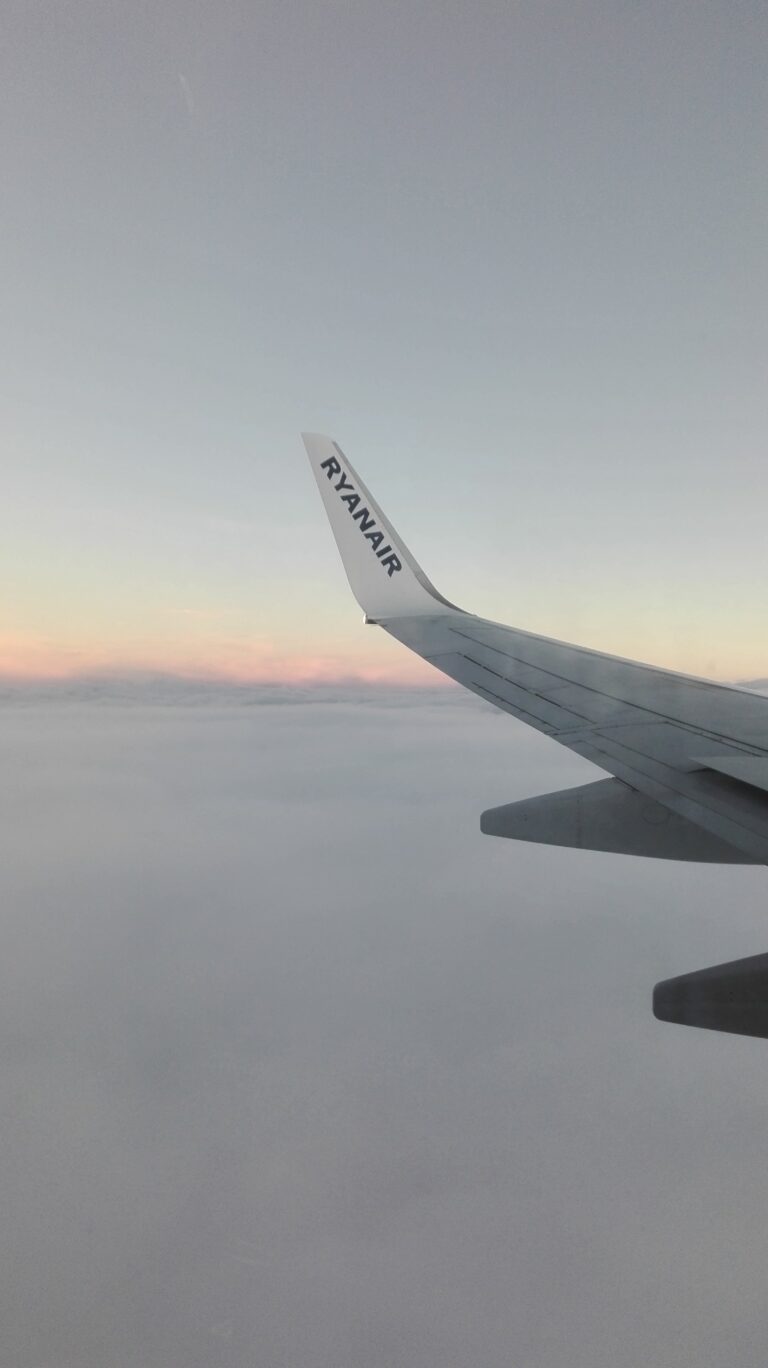 Travel: Stay at Home or Go Abroad?