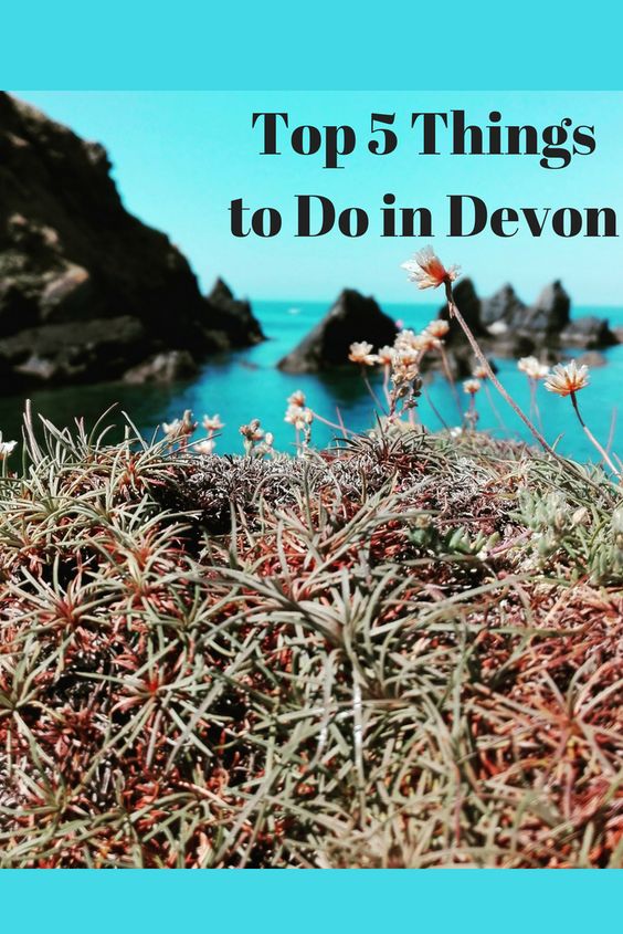Top 5 Things to Do in Devon