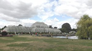 palm house visiting kew gardens