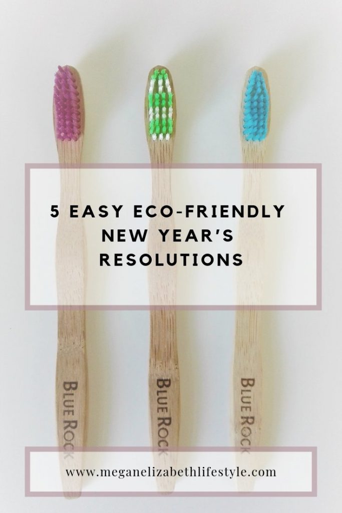 eco-friendly new year's resolutions pinterest