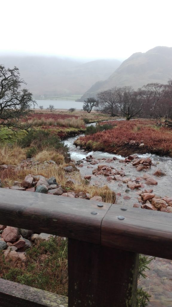 scale force walking route view