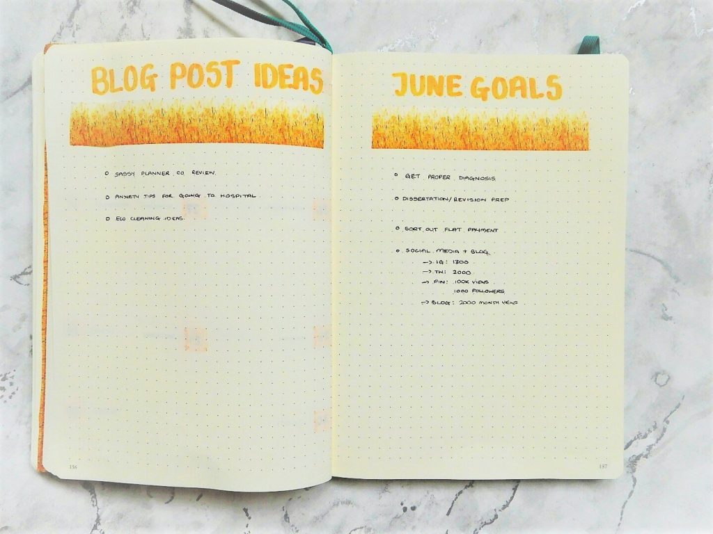 june 2019 bullet journal blog posts goals pages