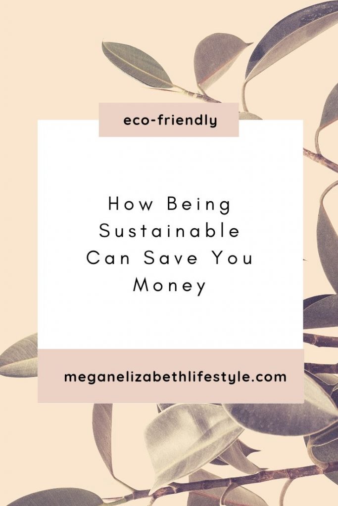 how being sustainable can save you money pin