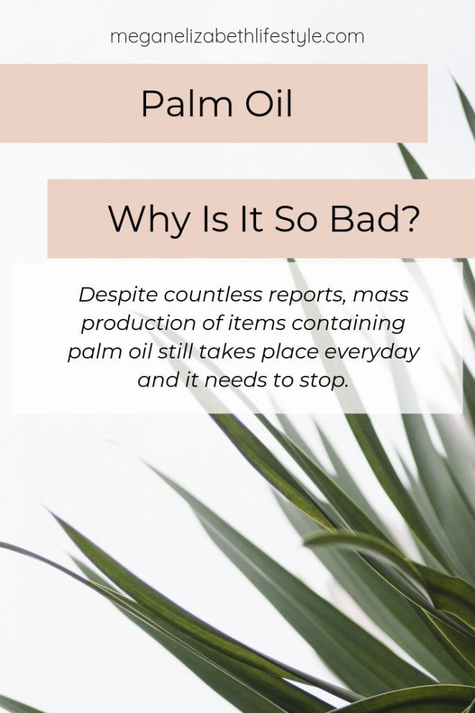 Why is Palm Oil So Bad pin