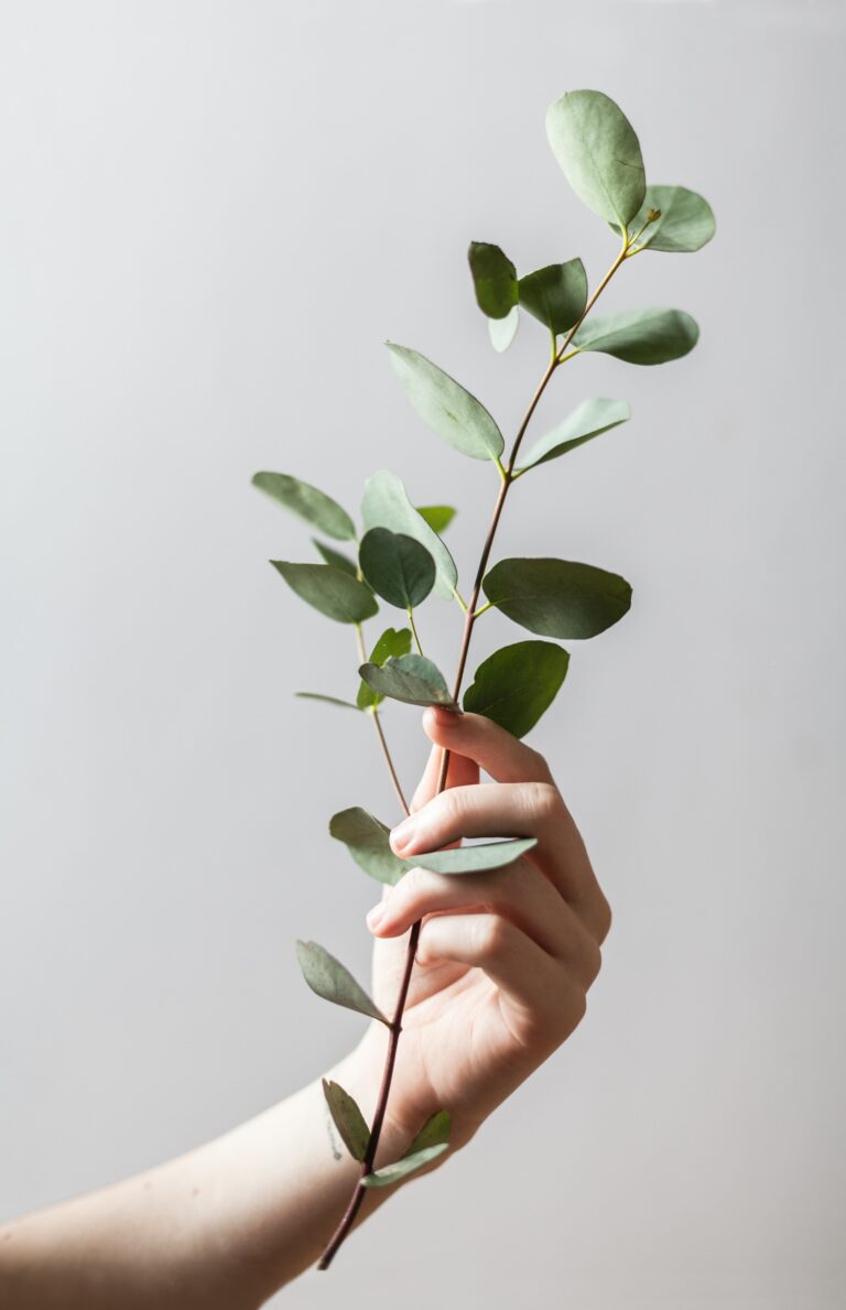 Eco Guilt and How to Overcome It