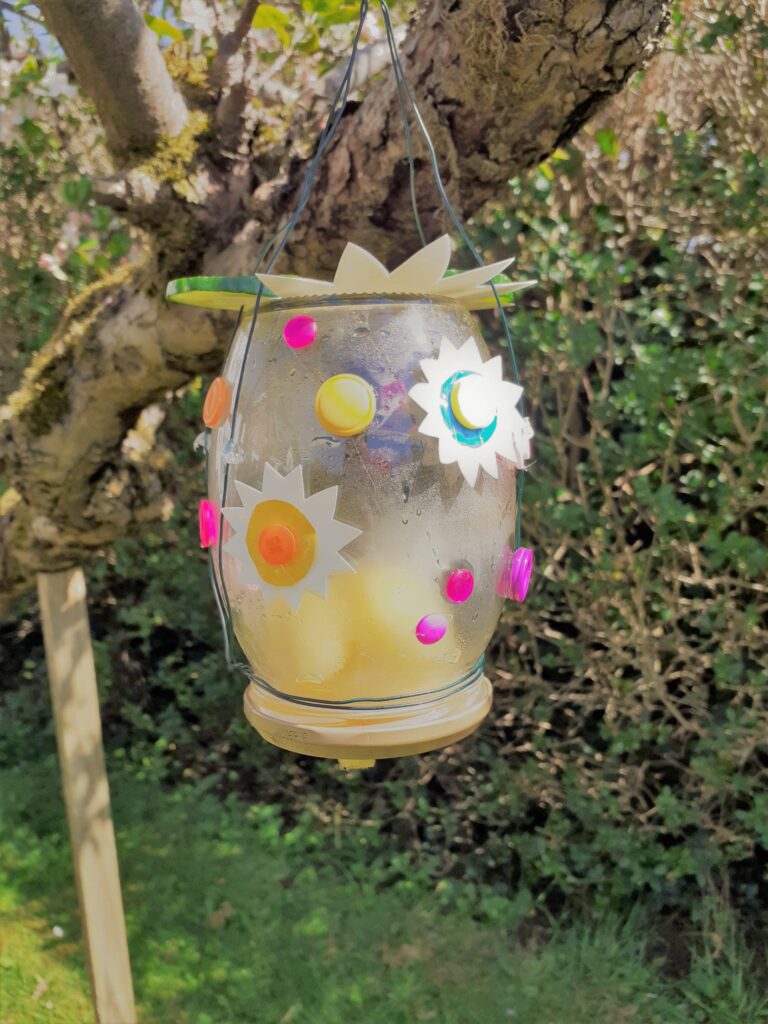 DIY garden ideas butterfly feeder