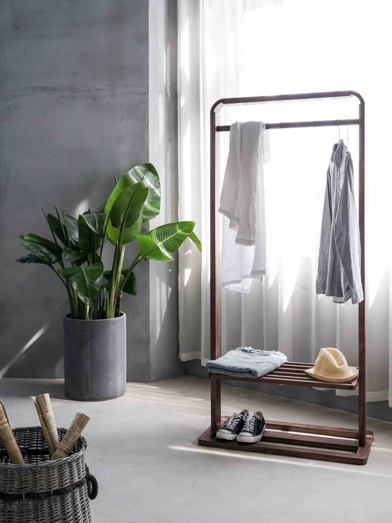 minimalist clothes hanging up with background plant