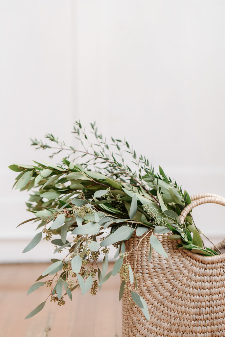 haute stock photo wicker bag holding plants