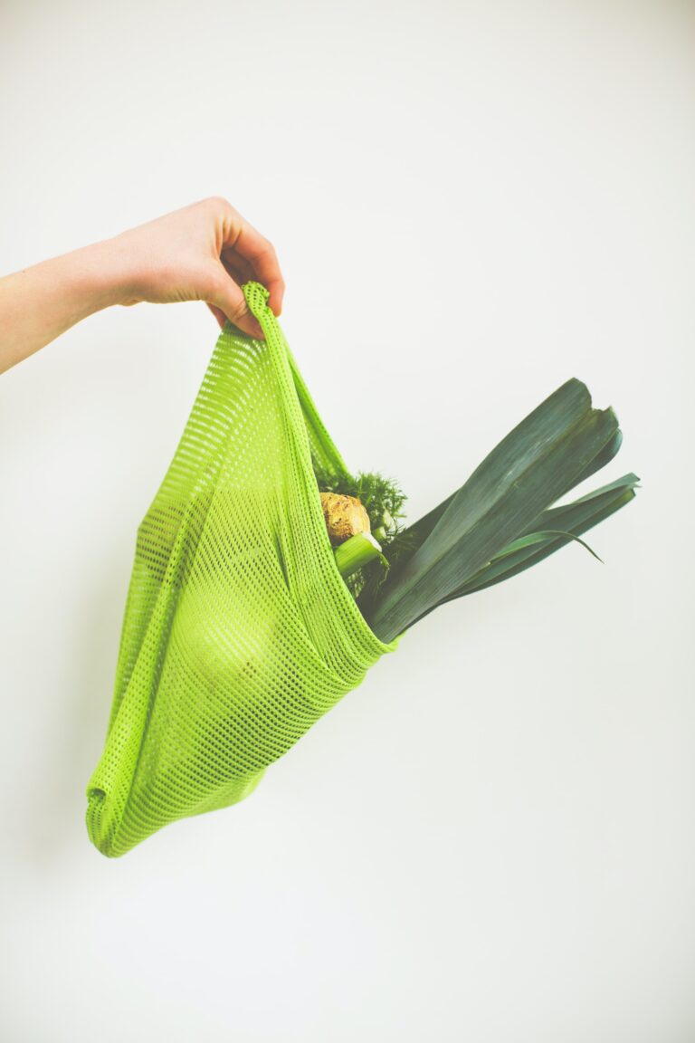 sustainable mesh shopping bag containing fresh produce