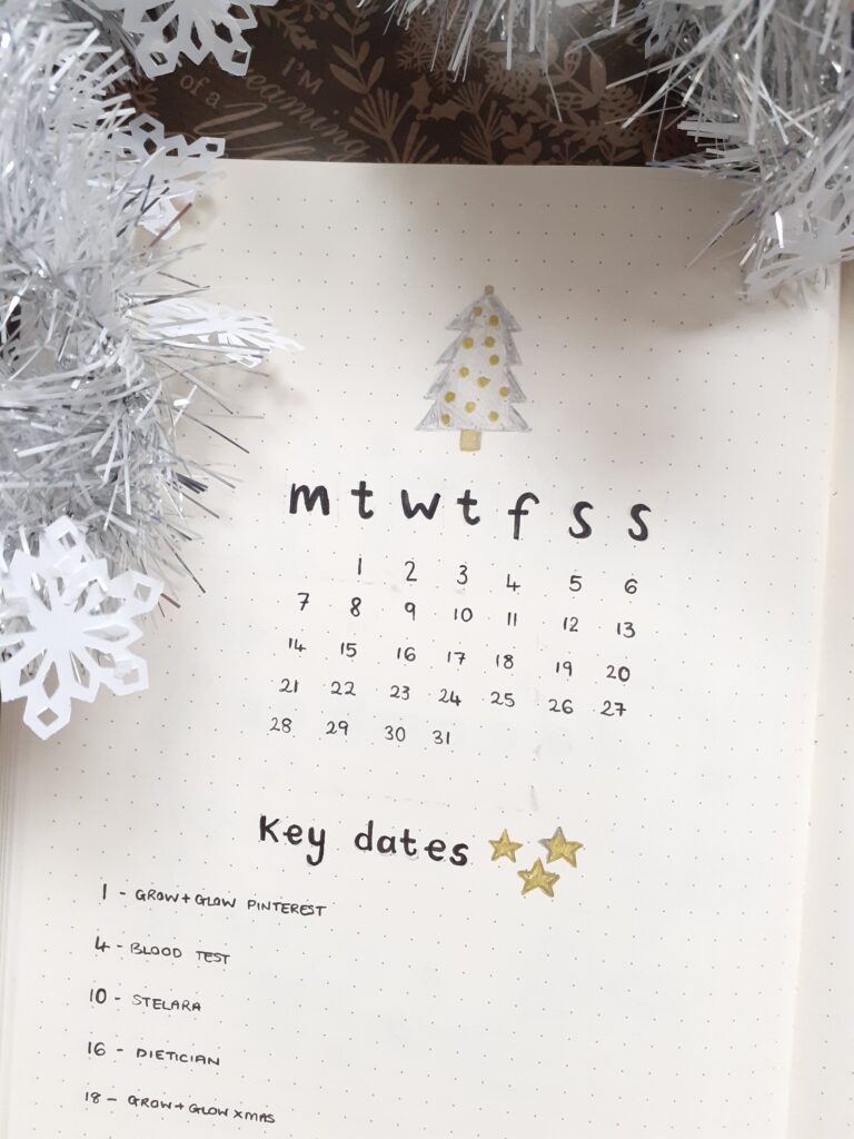 december 2020 bullet journal calendar layout