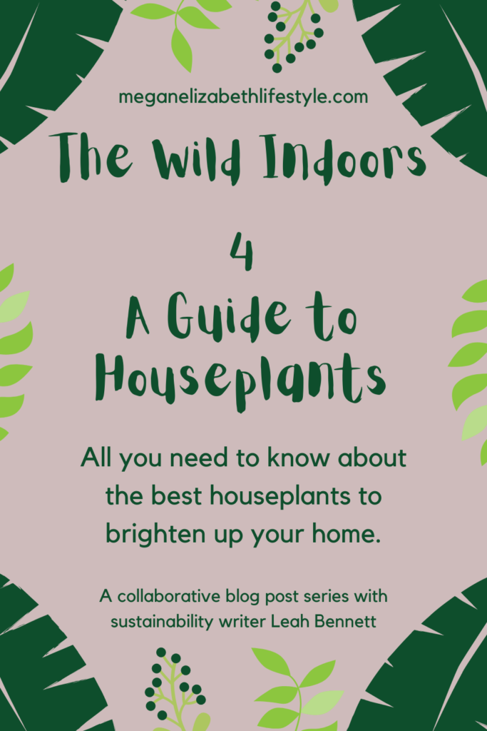 Houseplants The Wild Indoors