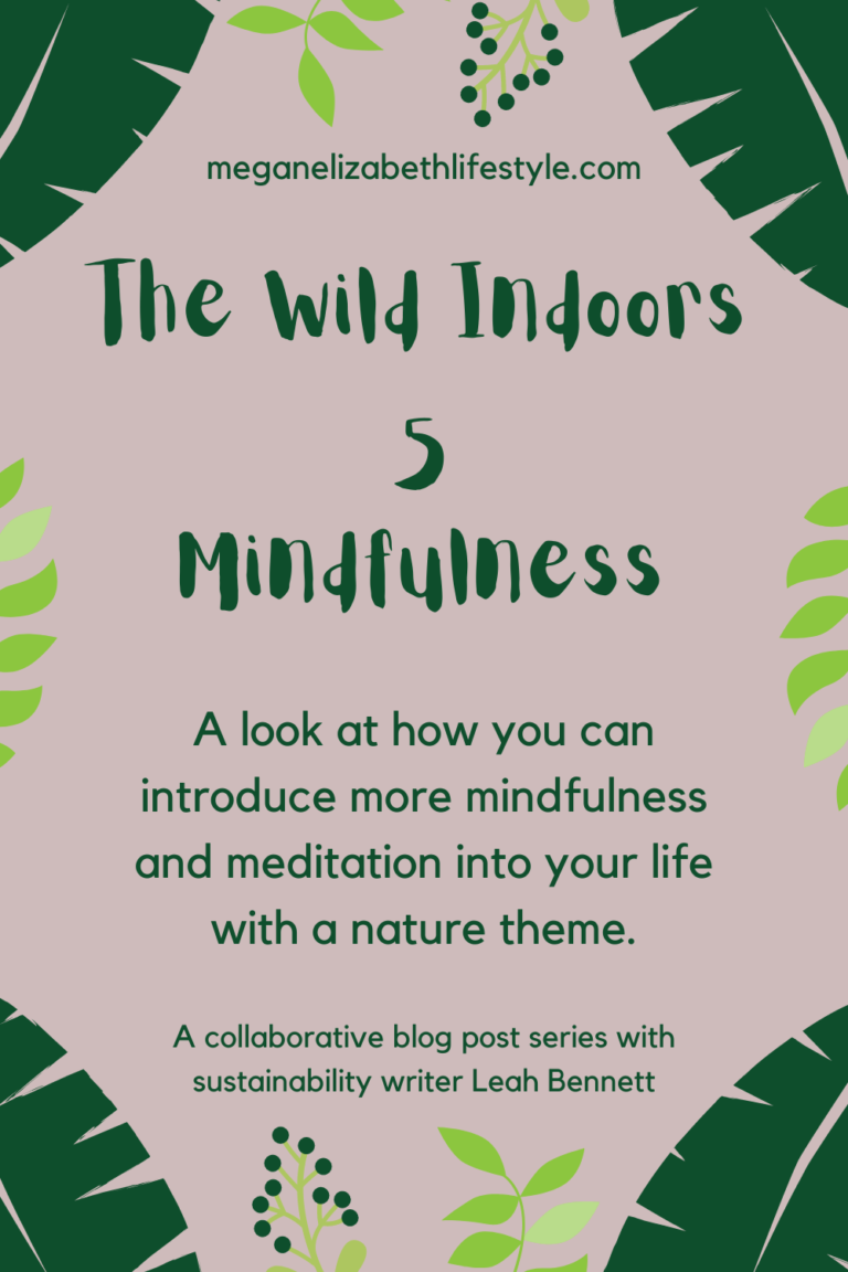 Mindfulness The Wild Indoors