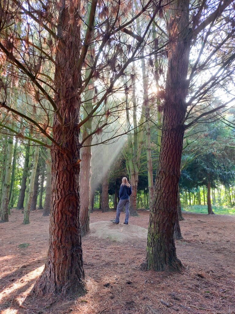 Megan, a young white woman with blonde hair is standing in the middle of a forest with sun rays shining through the trees