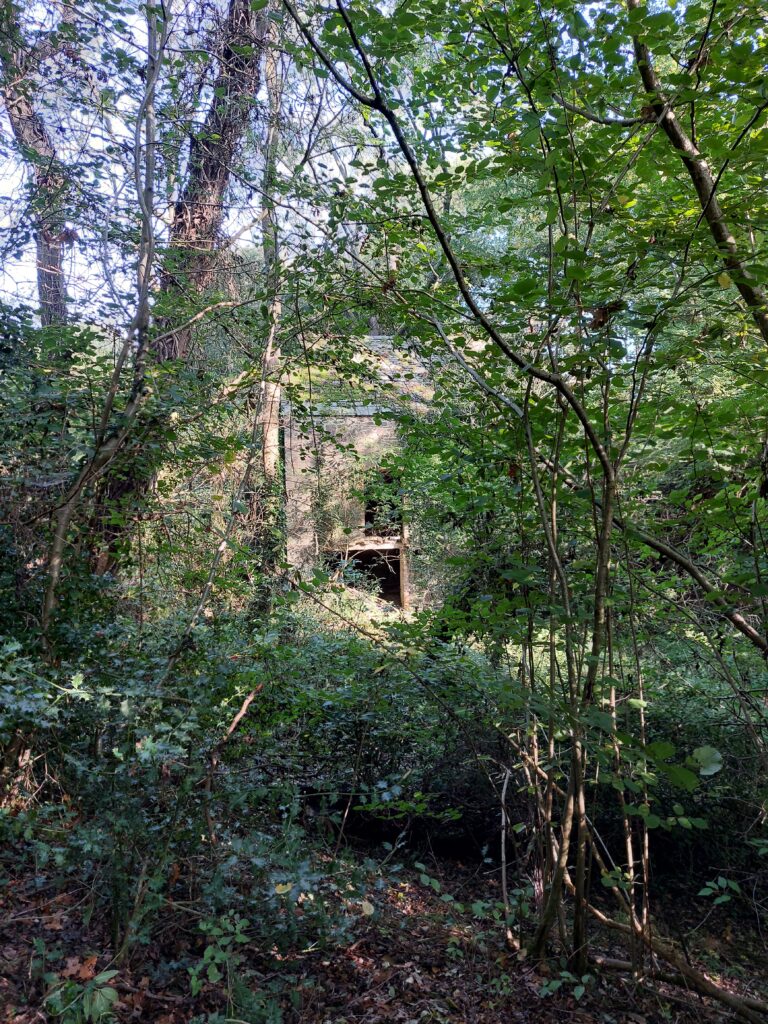 Ulverscroft Mill ruins - A beautiful mindful walk in autumn
